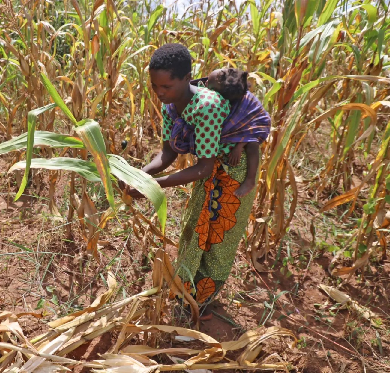 Margaret, 32 ans est une mère célibataire de quatre enfants, qui ne peut les nourrir qu'une fois par jour à cause des mauvaises récoltes due à des cyclones et tempêtes tropicales au Malawi