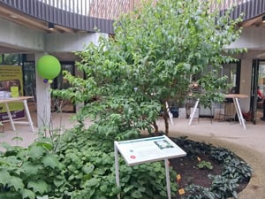 Meise_Event_2