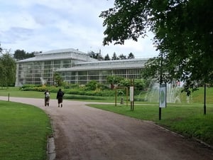 Meise_Event_4