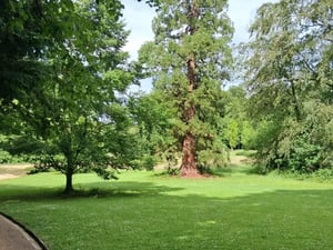 Meise_Event_5