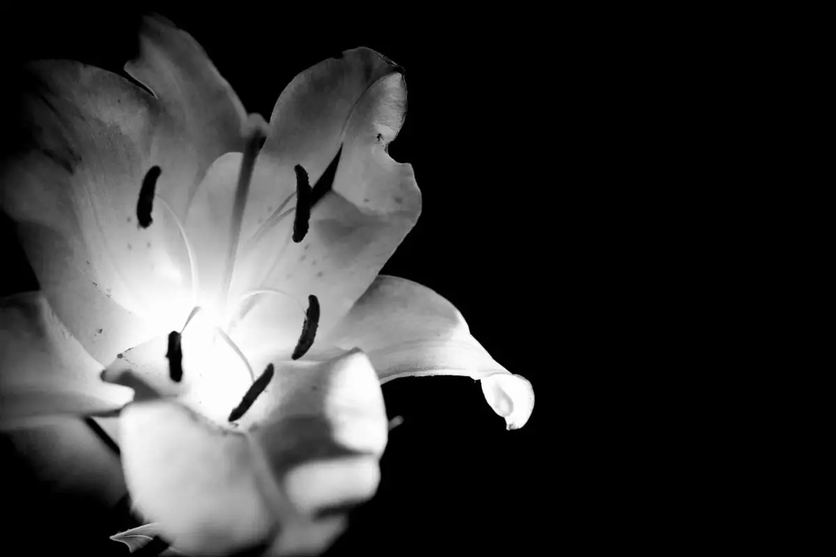 Bloemen noch kransen